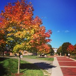 Fall on Campus by Jennifer M. Macaulay