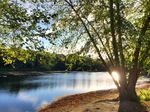 Morning Sun Over Ames Pond by Jennifer M. Macaulay