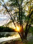 Ames Pond Sunrise by Jennifer M. Macaulay