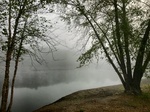 A Foggy Morning by Jennifer M. Macaulay