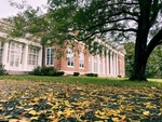 Leaves Around Donahue Hall
