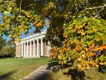 Fall Leaves Over Donahue by Jennifer M. Macaulay